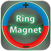 Ringmagnet